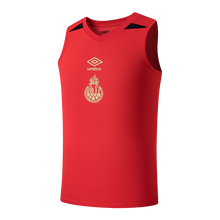 Cargar imagen en el visor de la galería, Camisola entreno 26/27 roja sin mangas
