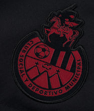 Cargar imagen en el visor de la galería, CHALECO ESCUDO
